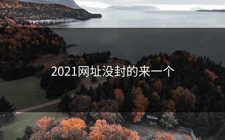 2021网址没封的来一个