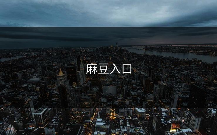 麻豆入口