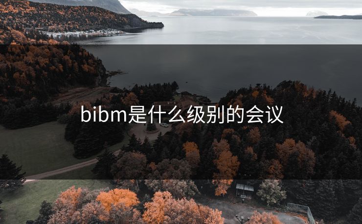 bibm是什么级别的会议